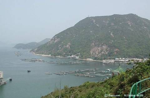 Randonnée pédestre sur l’île de Lamma